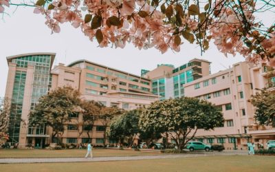 英文论文结构优化技巧：打造让导师一眼满意的学术逻辑