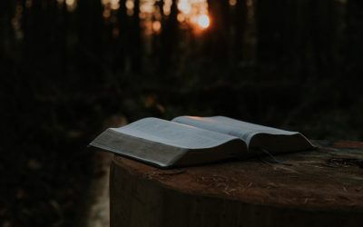 编辑之道：优化学术论文格式的质量与流畅度