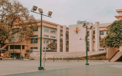 英文论文文献综述写作技巧：让你的论文更有“学术灵魂”