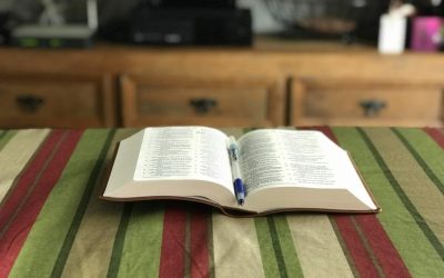 英文论文引言写作思路：从开篇吸引导师的学术写作技巧